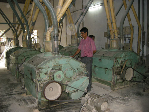Milled Wheat Products view 5